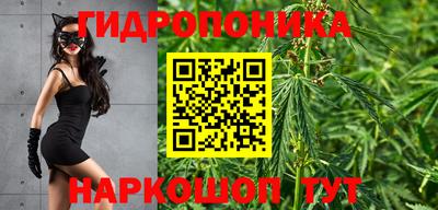 a pvp Можга