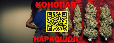 a pvp Можга