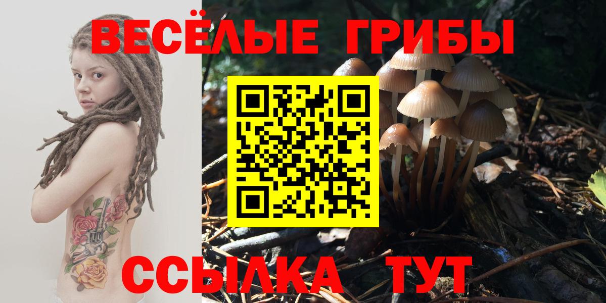 Волжск  Галлюциногенные грибы прущие грибы  Галлюциногенные грибы Magic Shrooms  Вход с VPN 